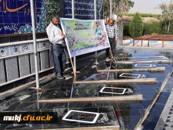 همایش پیاده روی به مناسبت عید سعید غدیر خم 5