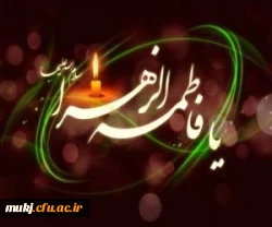 دفاع بی نظیر حضرت زهرا(س) از ولایت به عنوان ستون جامعه 2