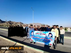 همایش پیاده روی کارکنان دانشگاه فرهنگیان خراسان جنوبی برگزار شد 2