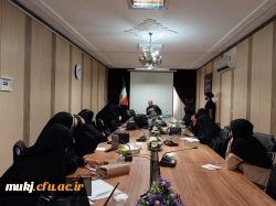 استقبال خوب دانشجو معلمان از دوره فیلمسازی در بیرجند 5