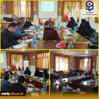 "شورای مدیریت، نظارت و توسعه"