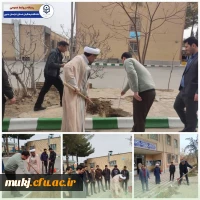 کاشت درخت به مناسبت روز درختکاری 2